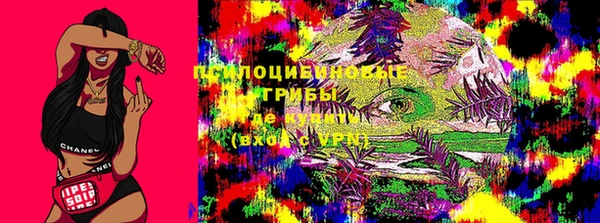 гидра Балахна