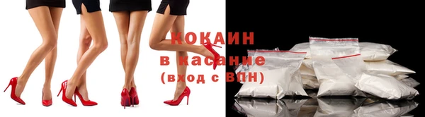 гидра Балахна